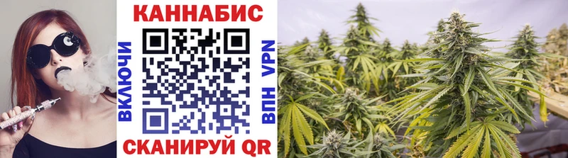 shop клад Тихвин Марихуана семена
